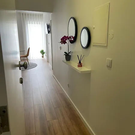 Deolinda Pereira - Casa Gatas