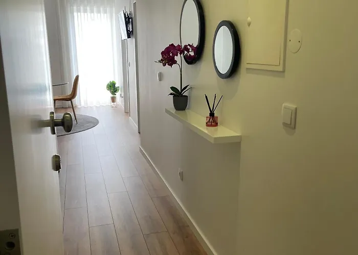 Deolinda Pereira - Casa Gatas